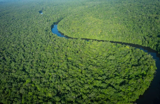 Classement meublé tourisme Guyane française - Amazonie