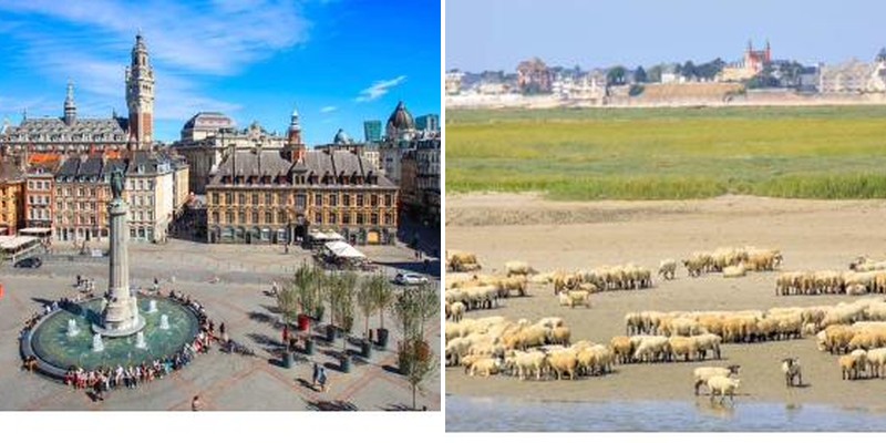 Classement meublé tourisme Hauts-de-France - Lille, Amiens, Arras