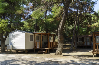Camping