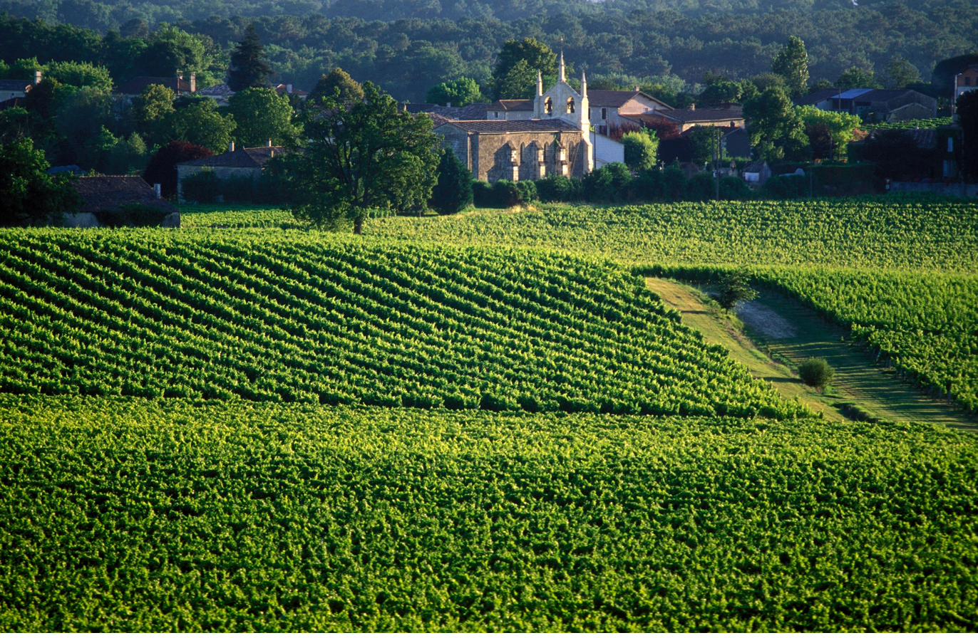 Vignoble bordelais - Excellence touristique française